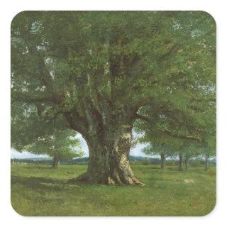 The Oak of Flagey, called Vercingetorix Square Sticker