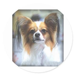 The PAPILLON Classic Round Sticker