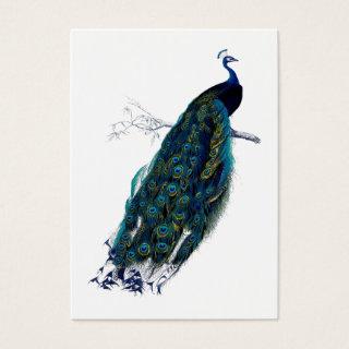 The Peacock Collection Gift Tag