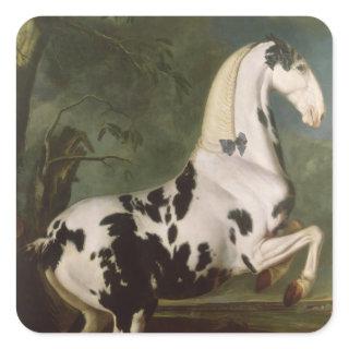 The Piebald Stallion at the Eisgruber Stud Square Sticker
