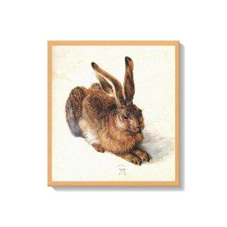 THE RABBIT ( Young Hare ) Canvas Print