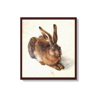THE RABBIT ( Young Hare ) Canvas Print