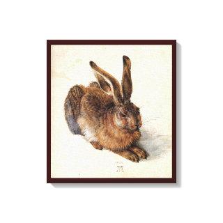 THE RABBIT ( Young Hare ) Canvas Print