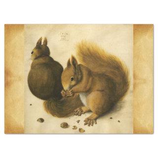 THE SQUIRREL WITH NUTS Albrecht Durer Parchment  Tissue Paper