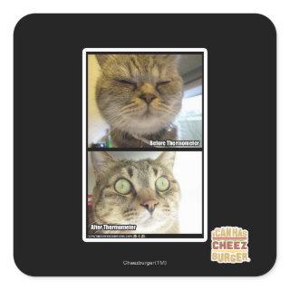 Thermometer Square Sticker