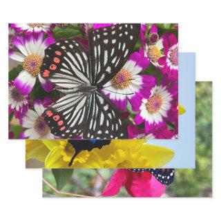 Three butterflies on pretty flowers  sheets