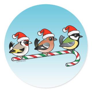 Three Christmas Finches (EU) Classic Round Sticker