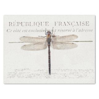 Three Dragonfly French Carte Postale Decoupage Set Tissue Paper