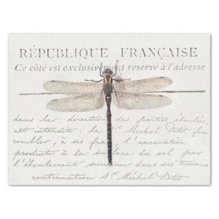 Three Dragonfly French Carte Postale Decoupage Set Tissue Paper