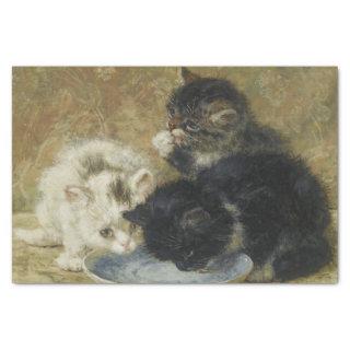 Three Kittens by Henriette Ronner-Knip Tissue Paper