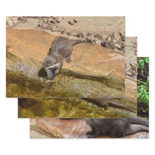 Three Otter, Gift Wrapping, Decoupage, Sheets,  Sheets
