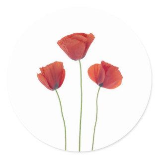 Three poppies classic round sticker