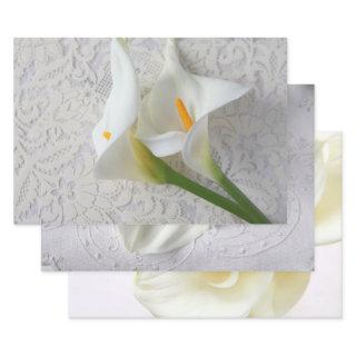 Three views of white calla lilies  sheets
