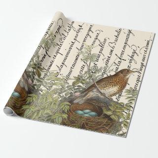 Thrush Bird and Nest French Script Vintage