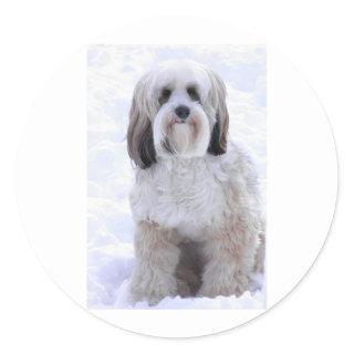 Tibetan Terrier Sable and White Classic Round Sticker