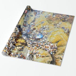 Tide Pool