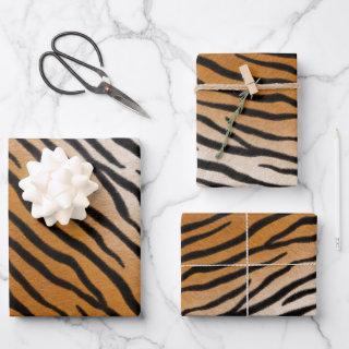Tiger Fur Realistic Striped Wild Animal Print  Sheets