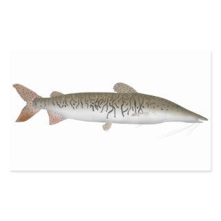 Tiger Shovelnose Catfish Rectangular Sticker