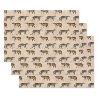 Tigers and Leopards on Tan  Sheets
