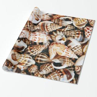 Tiny Seashells