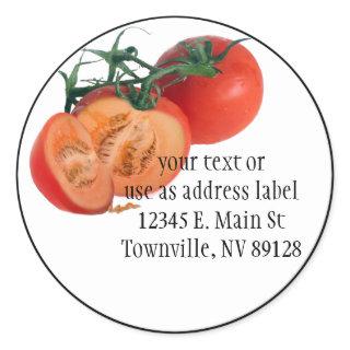 To - Melon (Strange Fruit) Classic Round Sticker