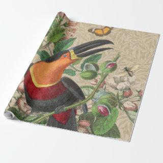 Toucan Jungle Tropical Bird Beautiful Antique