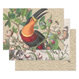 Toucan Jungle Tropical Bird Beautiful Antique  Sheets