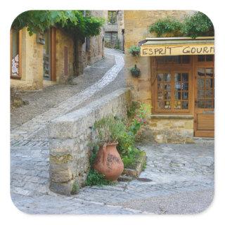 Townscape in Dordogne, France sticker