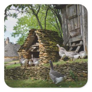 Traditional foie gras goose farm sticker