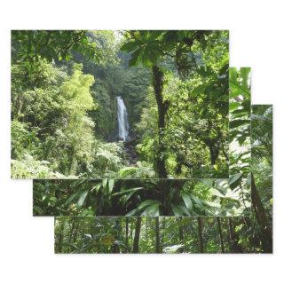 Trafalgar Falls Tropical Rainforest Photography  Sheets