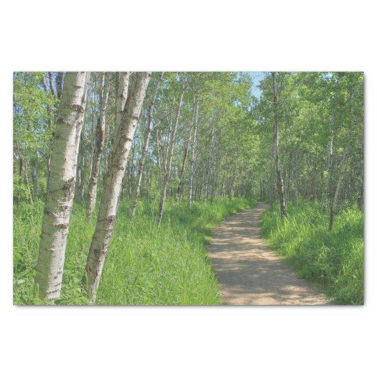 Trail Trough Aspens Tissue Paper