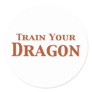 Train Your Dragon Gifts Classic Round Sticker