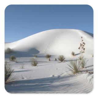 Transverse Dunes and Soaptree Yucca Square Sticker