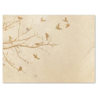 Treasured Warblers Tissue Paper