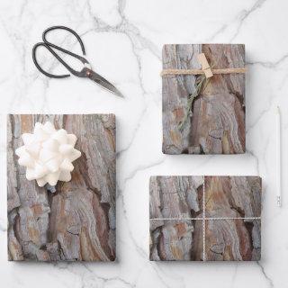 Tree Bark Fall Autumn Patterns   Sheets