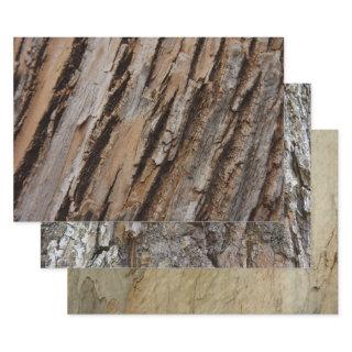 Tree Bark I Natural Abstract Textured Design  Sheets