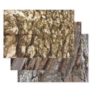 Tree Bark II Natural Textured Design  Sheets