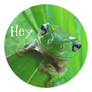 Tree Frog Stickers