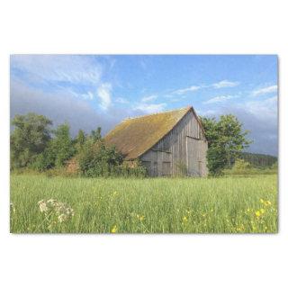 Tree Hugged Slanted Roof Barn in a Flower Field Tissue Paper