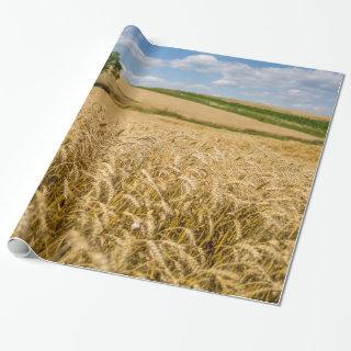 Tree In Wheat Field Landscape