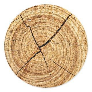 Tree Rings Closeup Classic Round Sticker