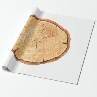 Tree rings. Watercolor illustration. hand drawn ab