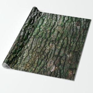 Tree Trunk (Wood Bark)