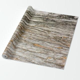 Tree trunk