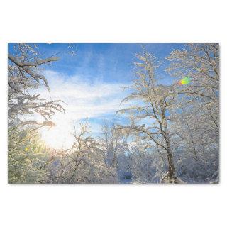 Trees Winter Snow Covered Blue Sky Clouds Scenery Tissue Paper
