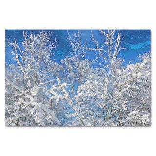 Trees Winter Snow Covered Blue Sky Painted Scenery Tissue Paper