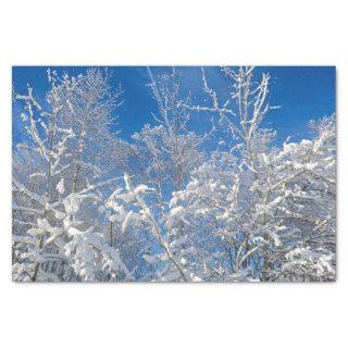 Trees Winter Snow Covered Blue Sky Scenery Tissue Paper