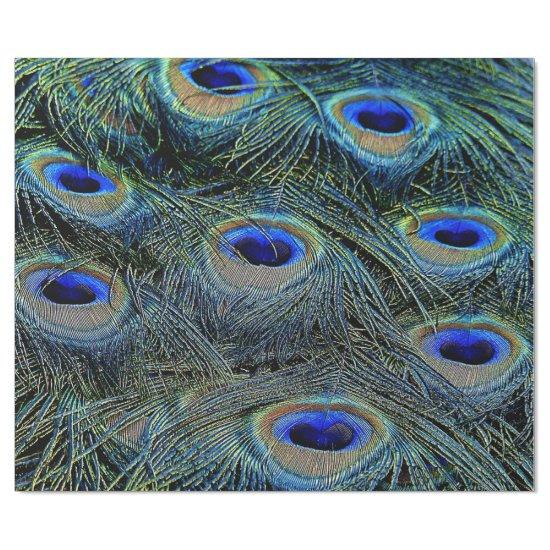 Trendy Colorful Peacock Feathers