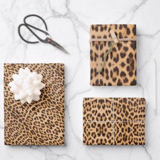 Trendy Fashion Stylish Leopard Spots Cheetah Print  Sheets