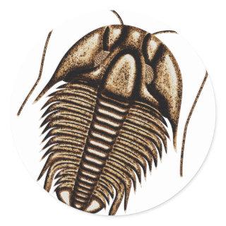 Trilobite Classic Round Sticker